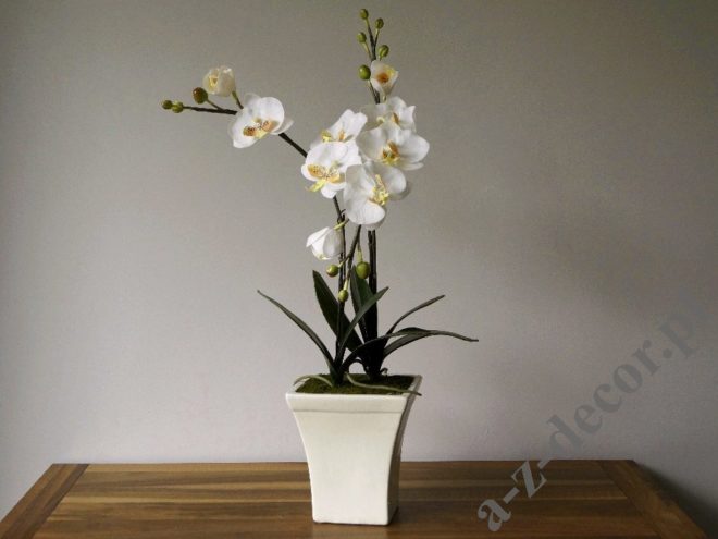 A-Z Decor Orchidea w doniczce 42,5×77,5