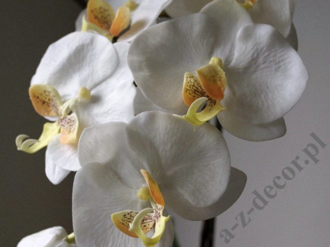 A-Z Decor Orchidea w doniczce 42,5×77,5