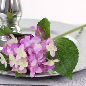 TERJAN HORTENSJA C.RÓŻOWY-SUN033