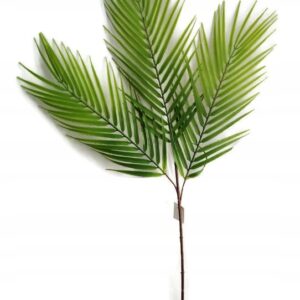Gałązka dekor palma