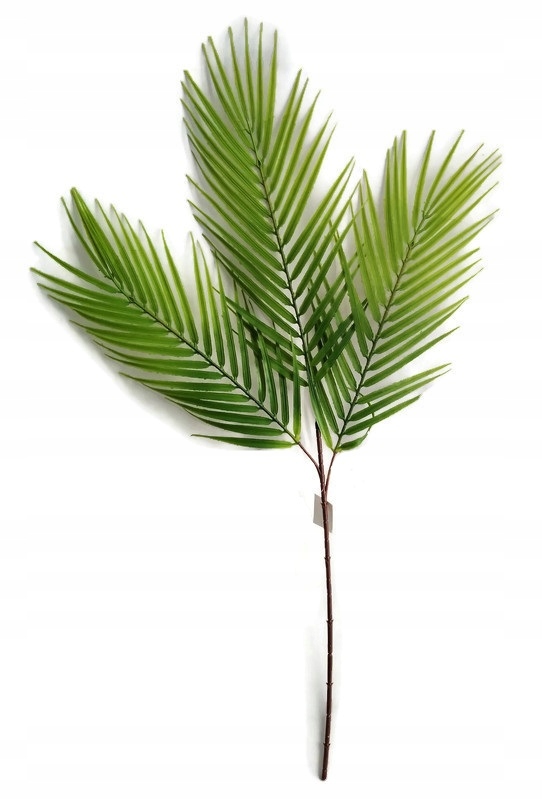 Gałązka dekor palma