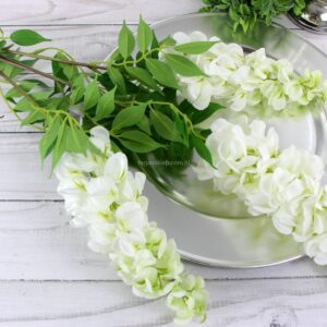 TERJAN WISTERIA ,AKACJA GAŁĄŻ WHITE