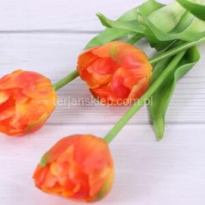 TERIAN TULIPAN POMARAŃCZOWY CK27