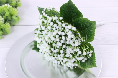 TERJAN GIPSÓWKA W BUKIECIE CV18425