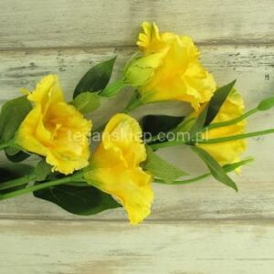 TERJAN EUSTOMA SUN 345CREAM EDGE