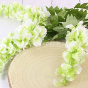 TERJAN WISTERIA CV10670