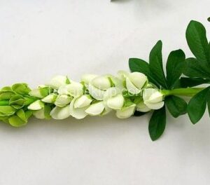 TERJAN ŁUBIN SUN459 CREM I ŻÓŁTY MIX