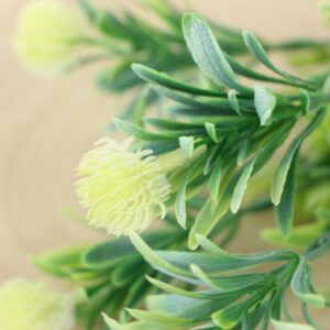 TERJAN BUKIET OSTÓW KREM CV22185