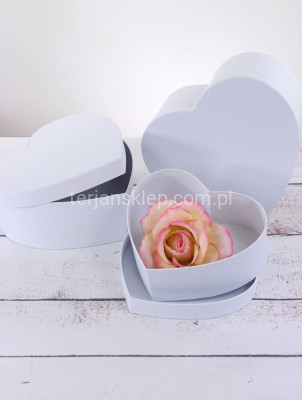 TERJAN FLOWER BOX SERCE MAŁE W 9114