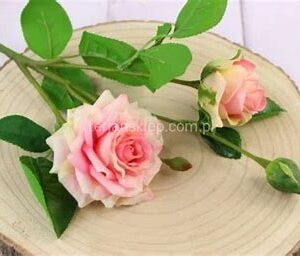 TERJAN RÓŻA GUMOWANA CREAM /PINK MIX CV22313