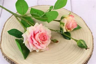 TERJAN RÓŻA GUMOWANA CREAM /PINK MIX CV22313