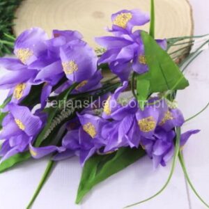 TERJAN BUKIET IRYSÓW EJ012