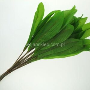 TERJAN ŁODYGA TULIPANOWA FO82