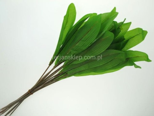 TERJAN ŁODYGA TULIPANOWA FO82