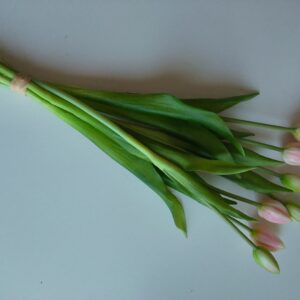 TERJAN TULIPANY W WIĄZCE CV 08288 1