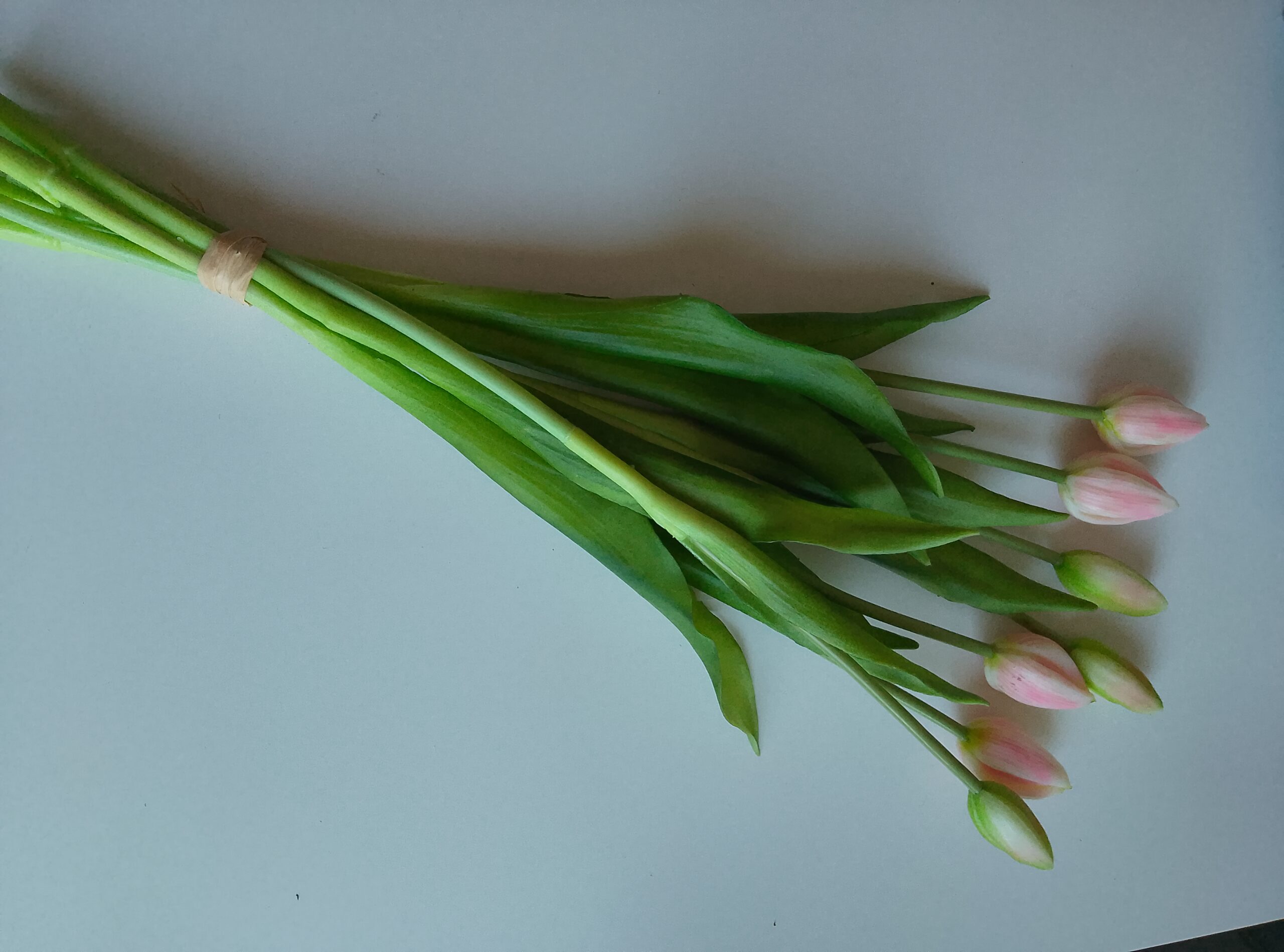 TERJAN TULIPANY W WIĄZCE CV 08288 1